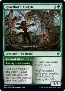 Rosethorn Acolyte (foil)