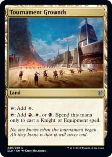 Tournament Grounds (foil)