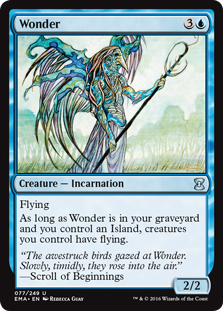 Wonder (foil)