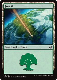 Forest (#276)
