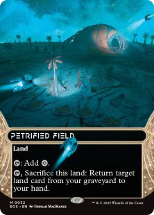 Petrified Field (#32) (borderless)