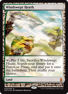 Windswept Heath (foil) (full art)