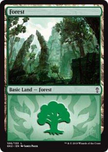 Forest (1)