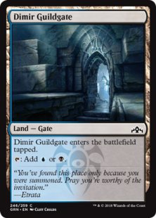 Dimir Guildgate (2) (foil)