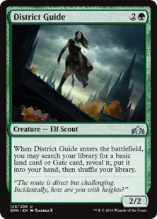 District Guide (foil)