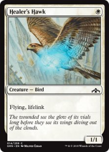 Healer's Hawk (foil)