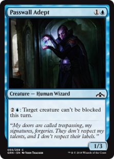 Passwall Adept (foil)