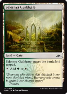 Selesnya Guildgate (1) (foil)