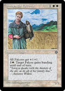 Soraya the Falconer