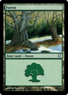 Forest (1)