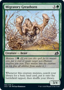 Migratory Greathorn (foil)