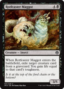 Rotfeaster Maggot