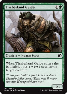 Timberland Guide (foil)