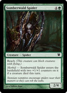 Somberwald Spider