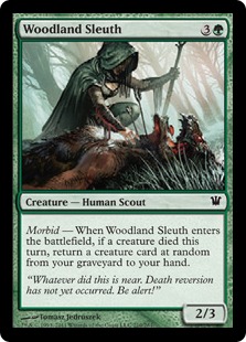 Woodland Sleuth (foil)