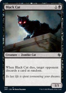 Black Cat