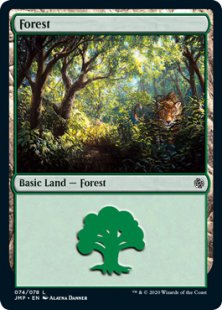 Forest (cats)