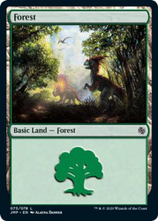 Forest (dinosaurs)