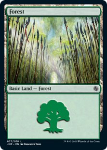 Forest (elves)