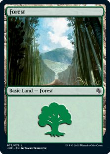 Forest (walls)