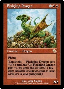 Fledgling Dragon