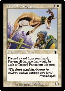 Trained Pronghorn (foil)