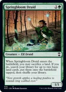 Springbloom Druid