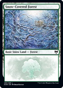Snow-Covered Forest (#285) (foil)