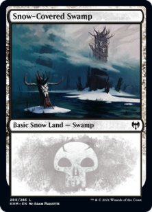 Snow-Covered Swamp (1)