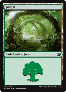 Forest (1)