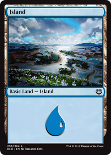 Island (#255) (foil)