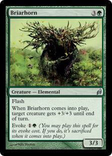 Briarhorn (foil)