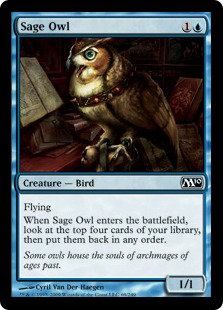 Sage Owl (foil)