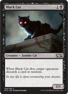 Black Cat