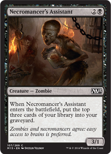 Necromancer's Assistant (foil)