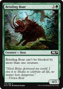 Bristling Boar (foil)