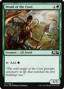 Druid of the Cowl (foil)