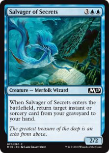 Salvager of Secrets (foil)