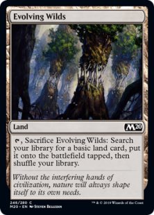 Evolving Wilds (foil)