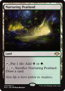 Nurturing Peatland (foil)