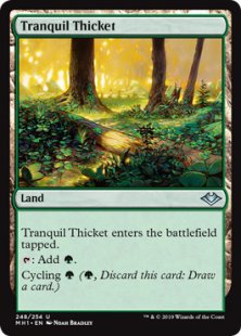 Tranquil Thicket (foil)