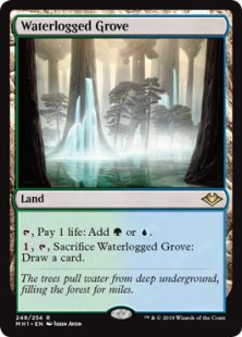 Waterlogged Grove (foil)