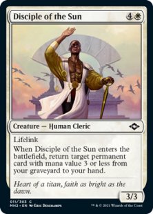 Disciple of the Sun (foil)