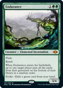 Endurance (foil)