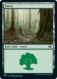 Forest (1) (foil-etched)