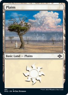 Plains (1) (foil-etched)