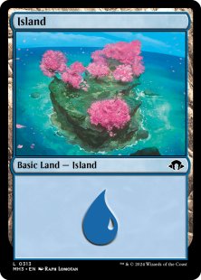 Island (#313)