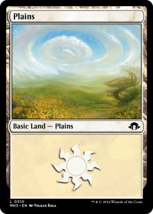 Plains (#310)