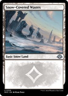 Snow-Covered Wastes (#229)