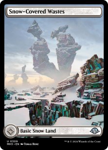Snow-Covered Wastes (#309) (full art)